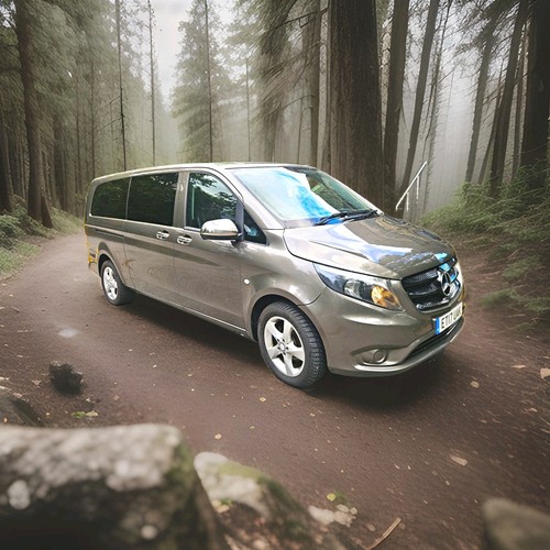 Mercedes vito w447 - mercedes,